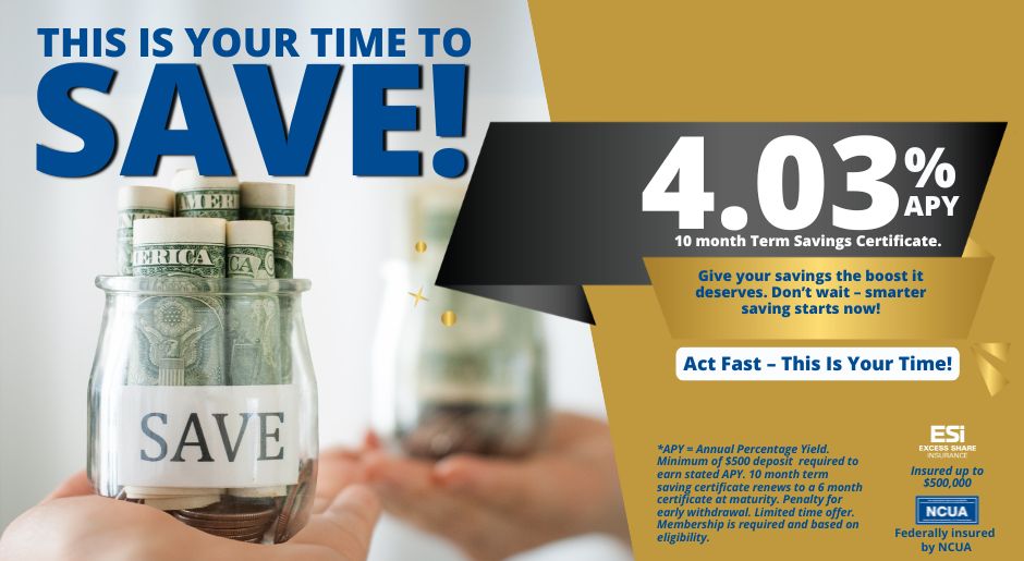 TERM SAVINGS CERTIFICATES visual data 8